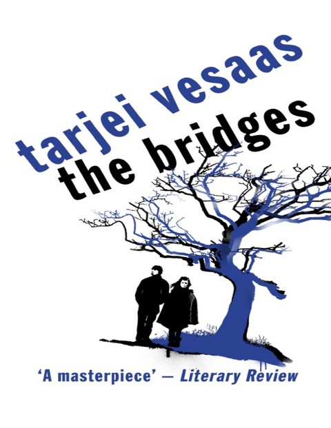 Cover image for book The Bridges