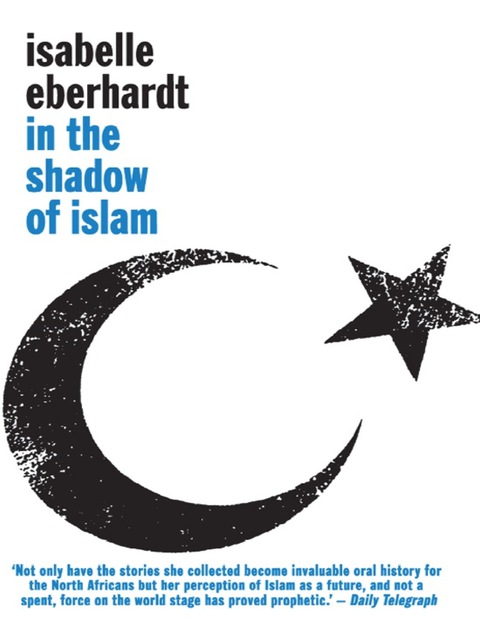 Cover image for book In the Shadow of Islam