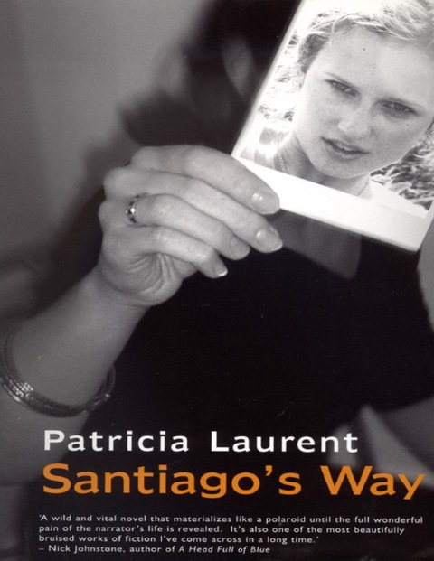 Cover image for book Santiago's Way