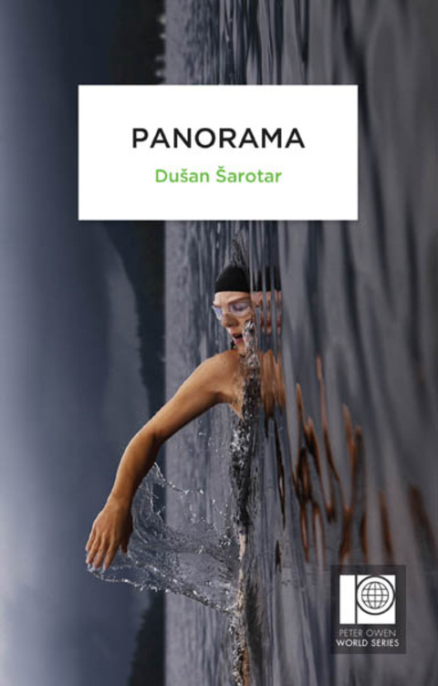 Cover image for book Panorama