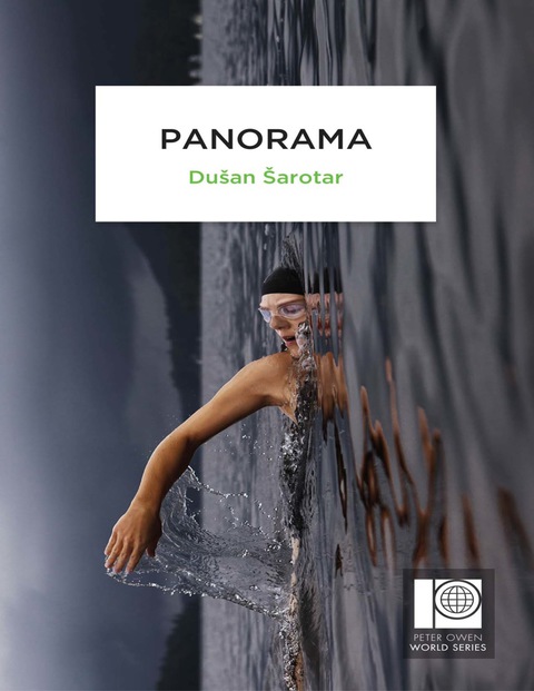Cover image for book Panorama