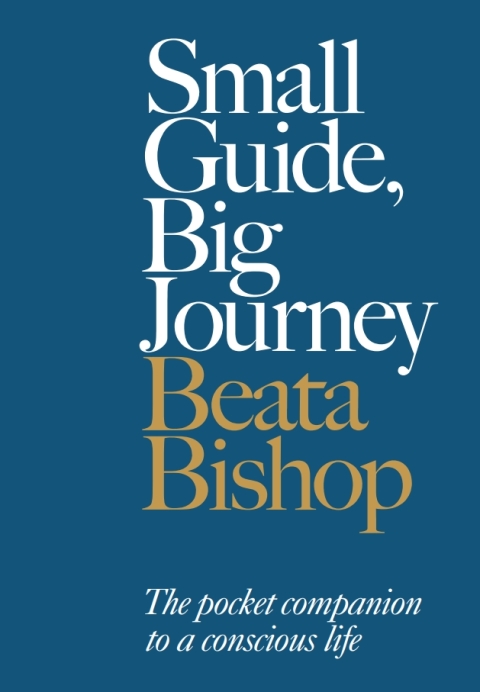 Cover image for book Small Guide, Big Journey