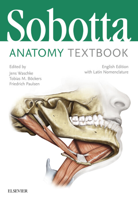 Cover image for book Sobotta Anatomy Textbook