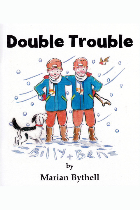 Cover image for book Double Trouble