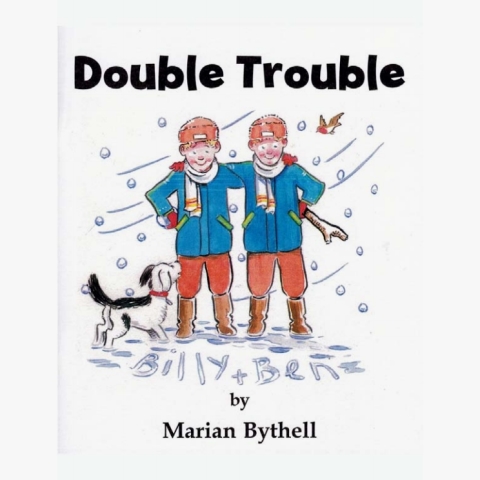 Cover image for book Double Trouble