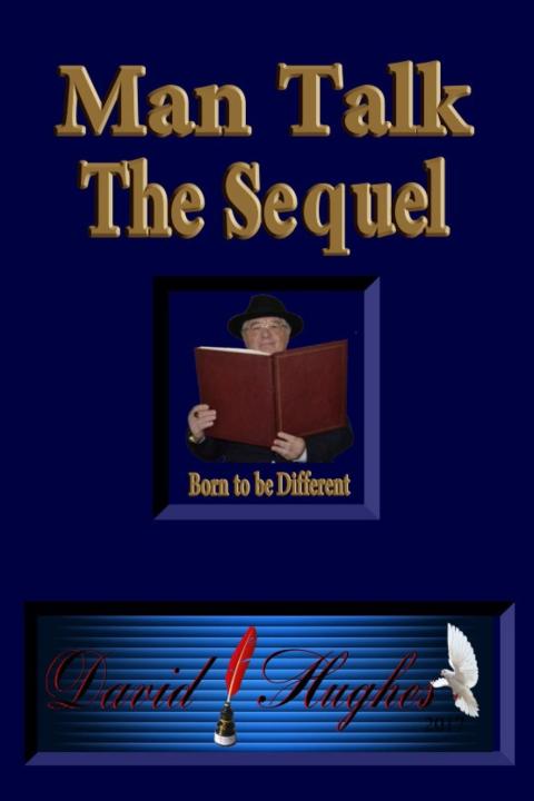 Cover image for book Man Talk - The Sequel