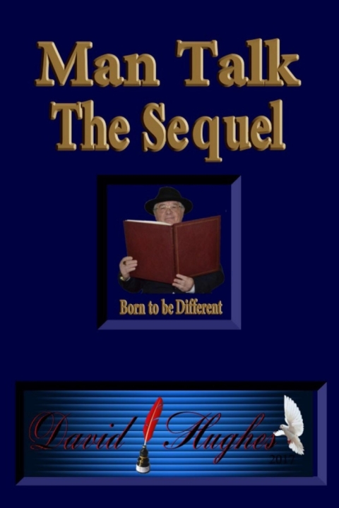 Cover image for book Man Talk - The Sequel