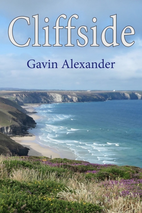Cover image for book Cliffside