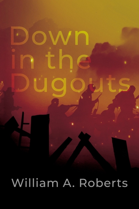 Cover image for book Down in the Dugouts