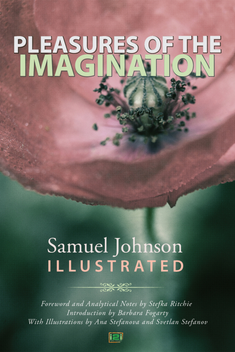 Cover image for book Pleasures of the Imagination