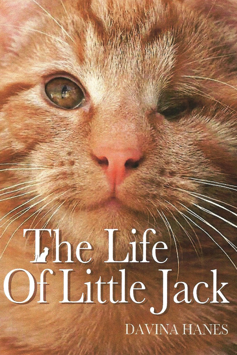 Cover image for book The Life of Little Jack