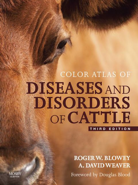 Cover image for book Color Atlas of Diseases and Disorders of Cattle
