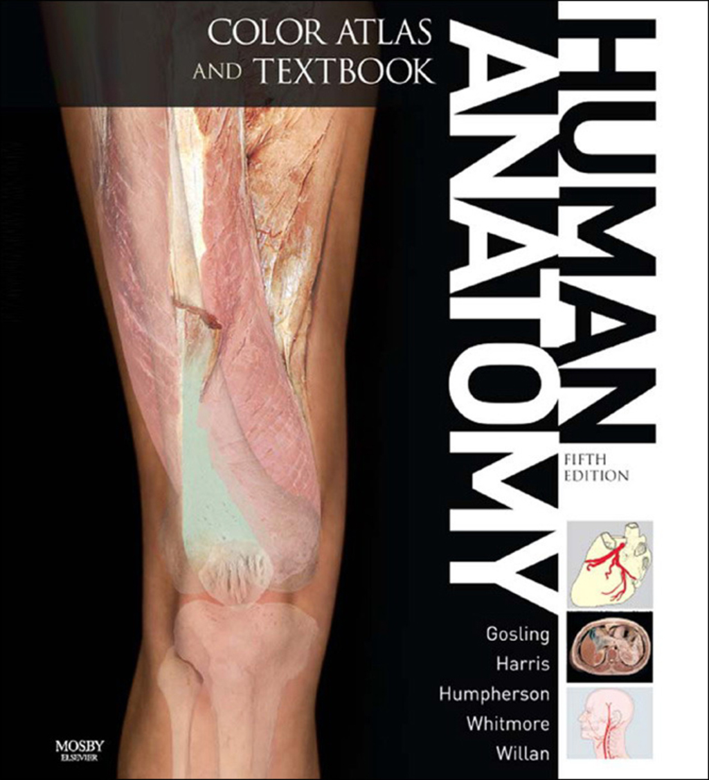 Human Anatomy  Color Atlas and Textbook E-Book (eBook) - John A. Gosling; Philip F. Harris; John R. Humpherson; Ian Whitmore; Peter L. T. Willan