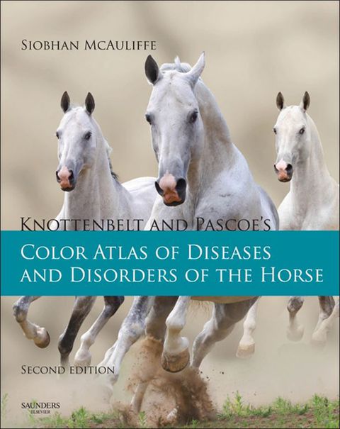 Cover image for book Knottenbelt and Pascoe's Color Atlas of Diseases and Disorders of the Horse