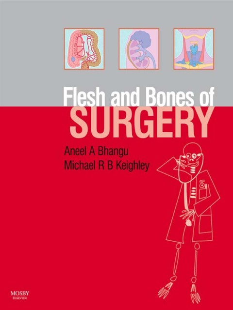 Cover image for book The Flesh and Bones of Surgery