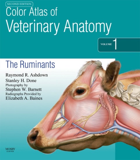 Color Atlas of Veterinary Anatomy, Volume 1, The Ruminants 