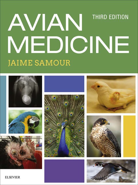 Cover image for book Avian Medicine (Revised)