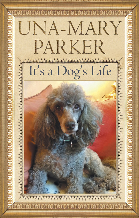 Cover image for book It's a Dog's Life