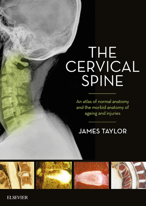 Cover image for book The Cervical Spine