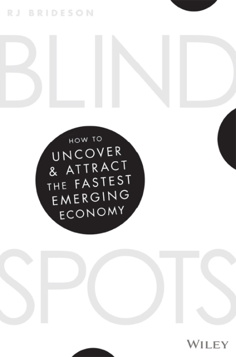 Cover image for book Blind Spots: How to uncover and attract the fastest emerging economy