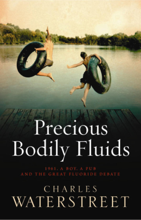 Cover image for book Precious Bodily Fluids
