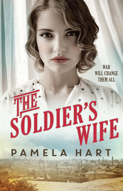 Cover image for book The Soldier's Wife
