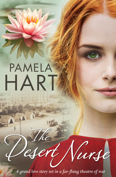 Cover image for book The Desert Nurse