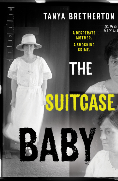 Cover image for book The Suitcase Baby