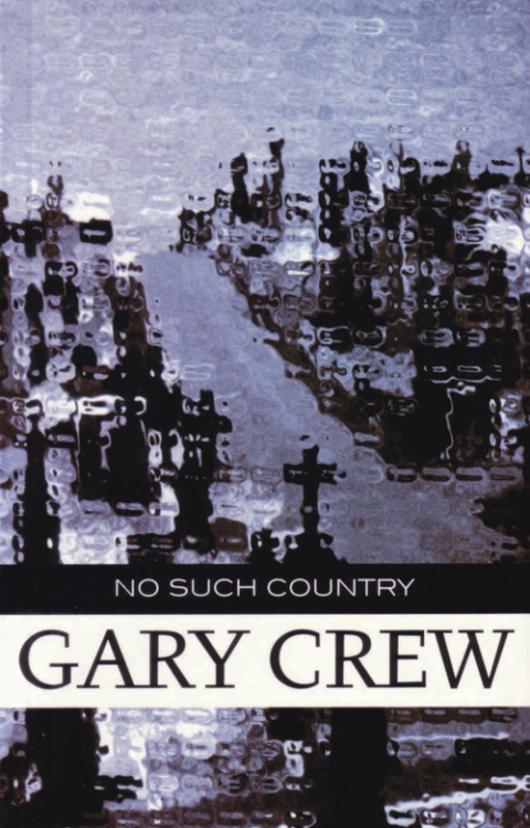 Cover image for book No Such Country