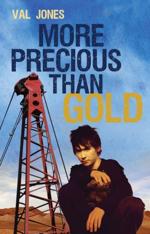 Cover image for book More Precious Than Gold