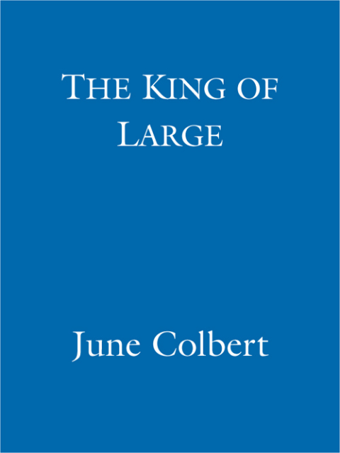 Cover image for book The King of Large