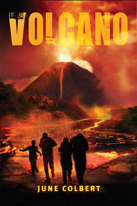 Cover image for book Volcano