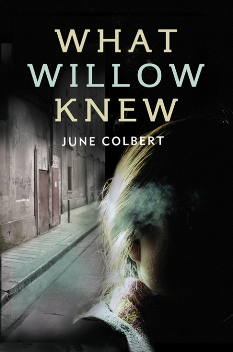 Cover image for book What Willow Knew
