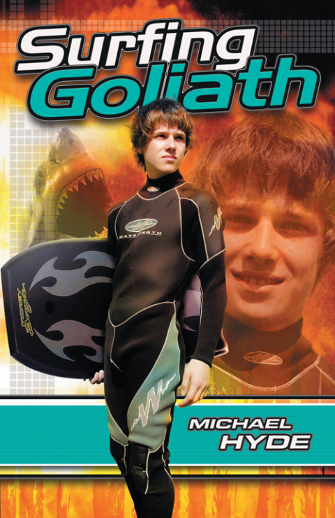 Cover image for book Surfing Goliath