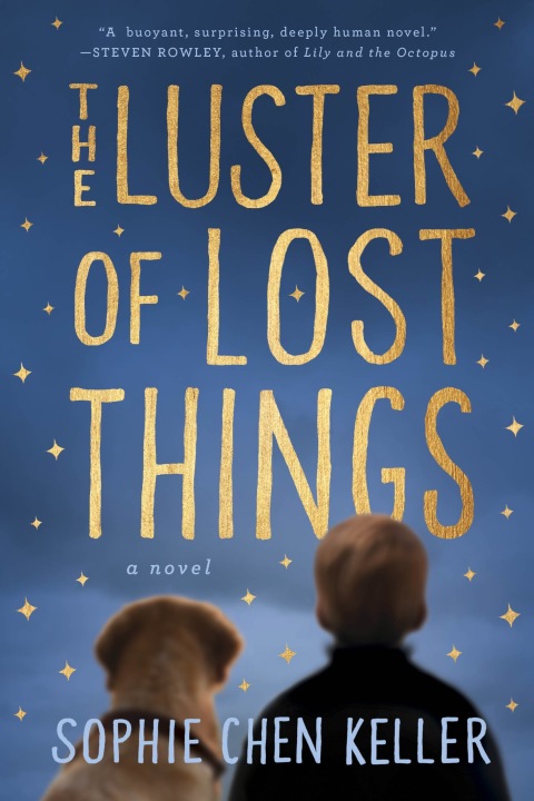 Cover image for book The Luster of Lost Things