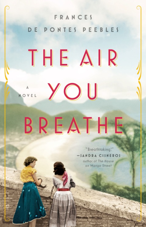 Cover image for book The Air You Breathe