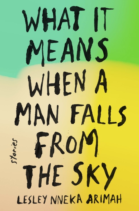 Cover image for book What It Means When a Man Falls from the Sky