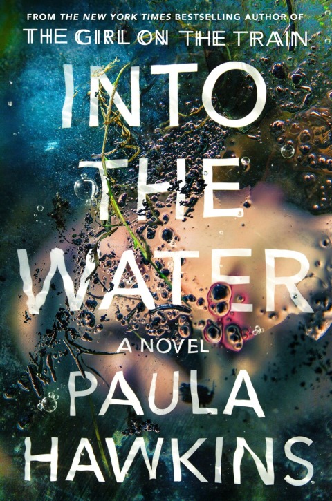 Cover image for book Into the Water