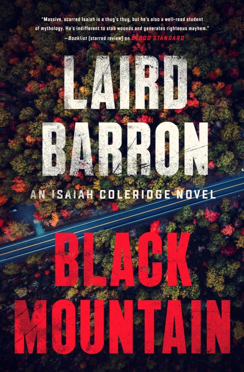 Cover image for book Black Mountain