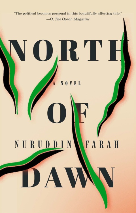 Cover image for book North of Dawn