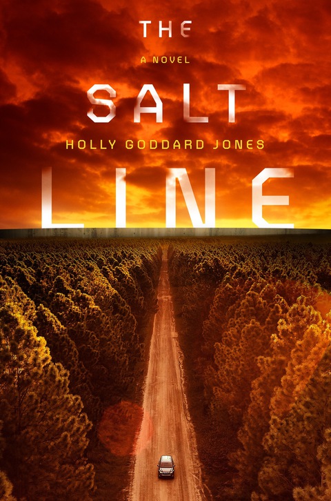 Cover image for book The Salt Line