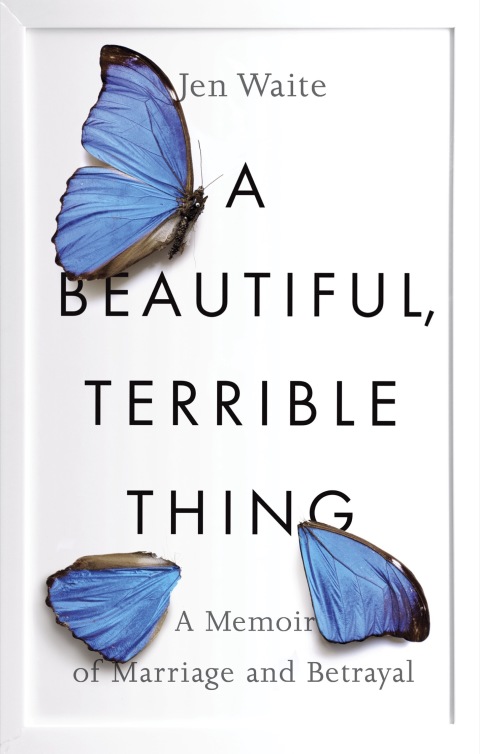 Cover image for book A Beautiful, Terrible Thing