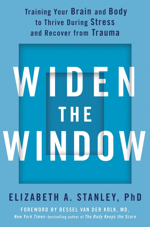 Cover image for book Widen the Window