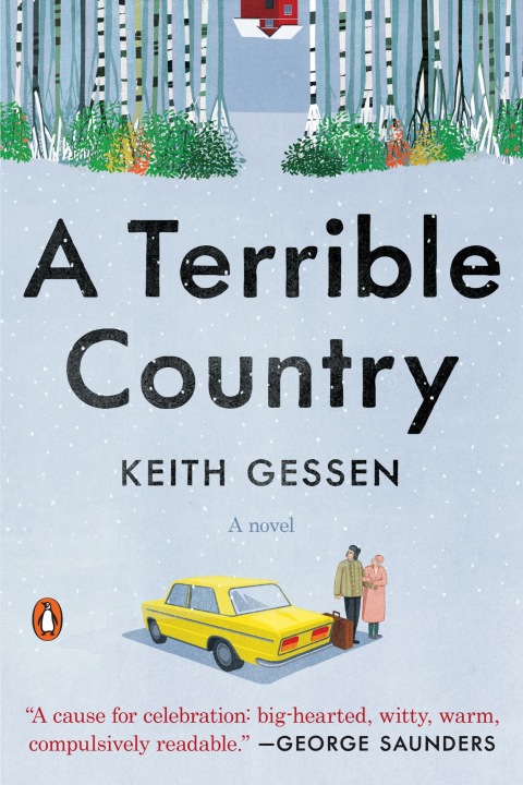 Cover image for book A Terrible Country