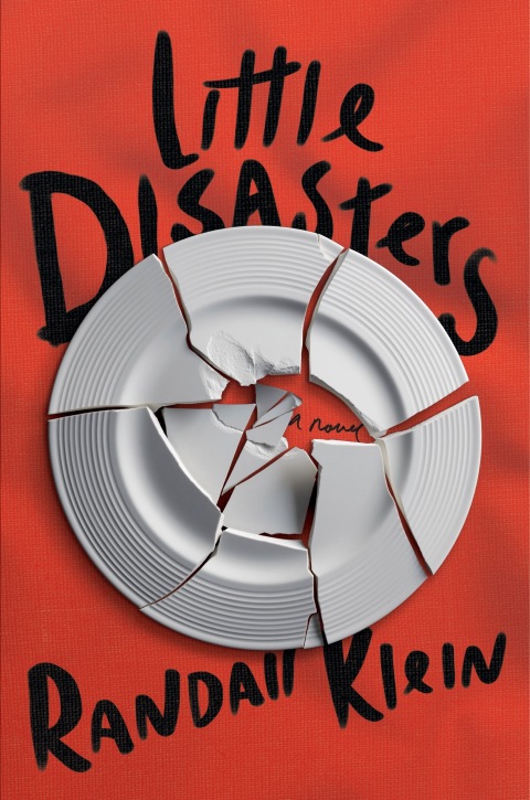 Cover image for book Little Disasters