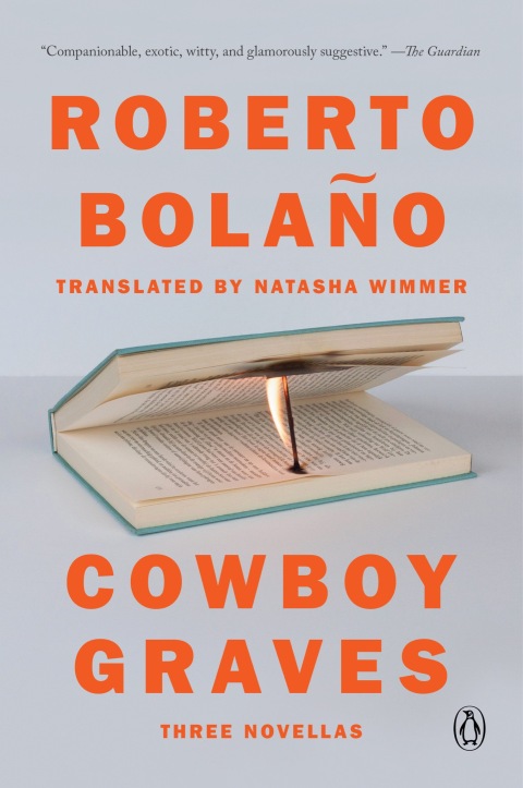 Cover image for book Cowboy Graves