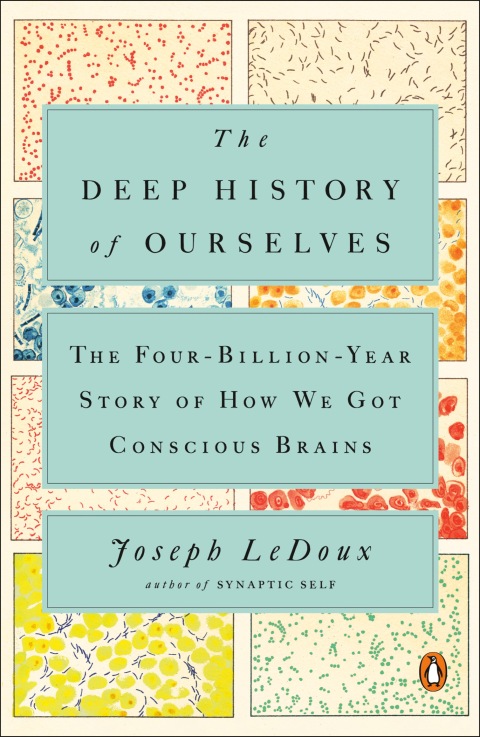 Cover image for book The Deep History of Ourselves