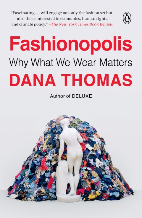 Cover image for book Fashionopolis