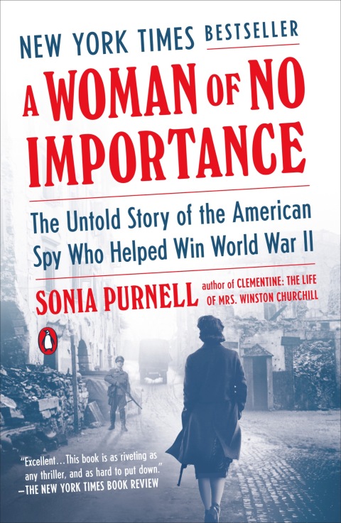 Cover image for book A Woman of No Importance