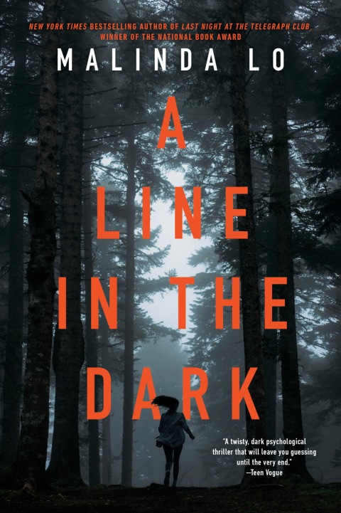 Cover image for book A Line in the Dark